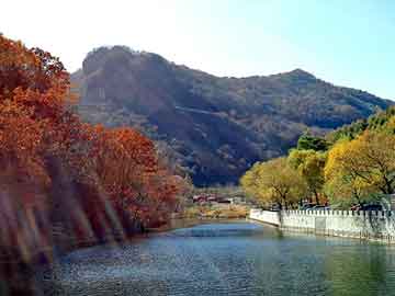 新澳天天开奖资料大全旅游团，中央空调加氟